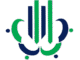 naabans foundation favicon